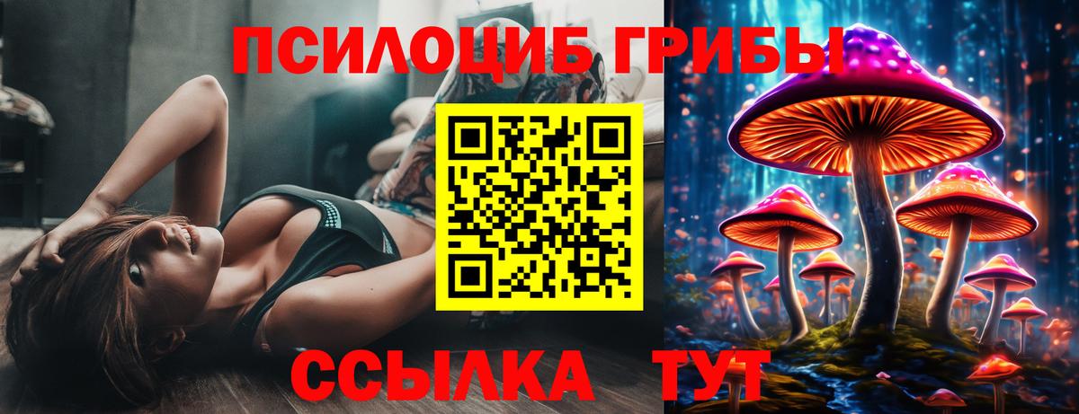 Псилоцибиновые грибы мицелий  Вход с VPN  Георгиевск 